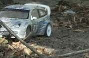 DLR - RAJD ANDERSA 2011
