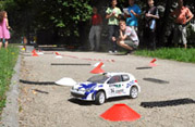 DLR - RAJD KARŁOWICE 2011