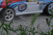 DLR - RAJD KARŁOWICE 2011