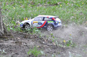 DLR - RAJD PARKOWY 2011