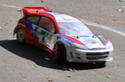 DLR - II RAJD PARKOWY 2012