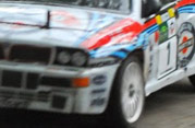 DLR - III RAJD PARKOWY 2013