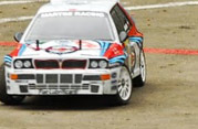 DLR - III RAJD PARKOWY 2013