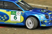 DLR - III RAJD PARKOWY 2013