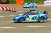 DLR - III RAJD PARKOWY 2013