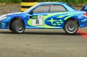 DLR - III RAJD PARKOWY 2013