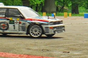 DLR - III RAJD PARKOWY 2013