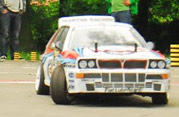 DLR - III RAJD PARKOWY 2013