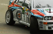 DLR - III RAJD PARKOWY 2013