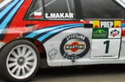 DLR - III RAJD PARKOWY 2013