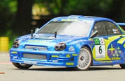 DLR - III RAJD PARKOWY 2013