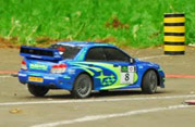 DLR - III RAJD PARKOWY 2013
