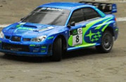 DLR - III RAJD PARKOWY 2013