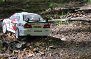 DLR - RAJD TRZEBNICKI 2011