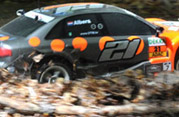 DLR - RAJD TRZEBNICKI 2011