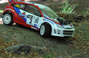 DLR - RAJD TRZEBNICKI 2011