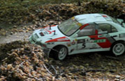 DLR - RAJD TRZEBNICKI 2011