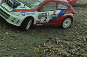 DLR - RAJD TRZEBNICKI 2011