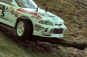 DLR - RAJD TRZEBNICKI 2011