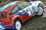 DLR - RAJD TRZEBNICKI 2011