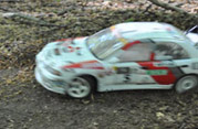 DLR - RAJD TRZEBNICKI 2011