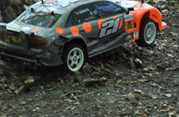 DLR - RAJD TRZEBNICKI 2011