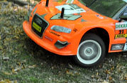 DLR - RAJD TRZEBNICKI 2011