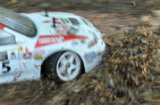 DLR - RAJD TRZEBNICKI 2011