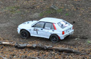 DLR - RAJD TRZEBNICKI 2012