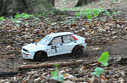 DLR - RAJD TRZEBNICKI 2012