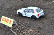 DLR - RAJD TRZEBNICKI 2012