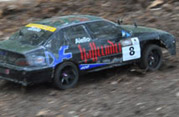 DLR - RAJD TRZEBNICKI 2012