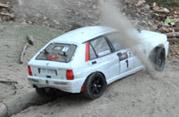 DLR - RAJD TRZEBNICKI 2012