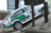 DLR - RAJD TRZEBNICKI 2012