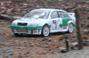 DLR - RAJD TRZEBNICKI 2012
