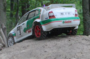 DLR - RAJD TRZEBNICKI 2012