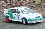DLR - RAJD TRZEBNICKI 2012