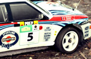 DLR - RAJD W MŁYNIE 2012